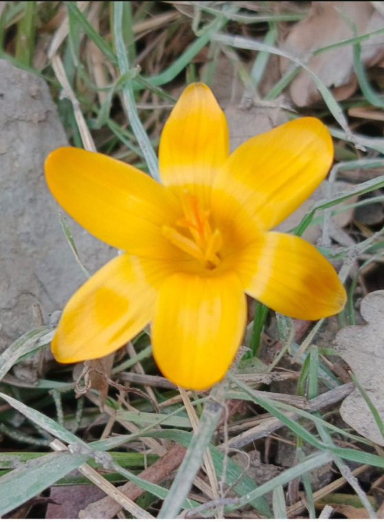 Личное 