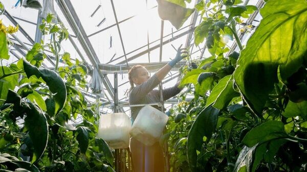    © Соцсети главы РК Сергея Аксенова