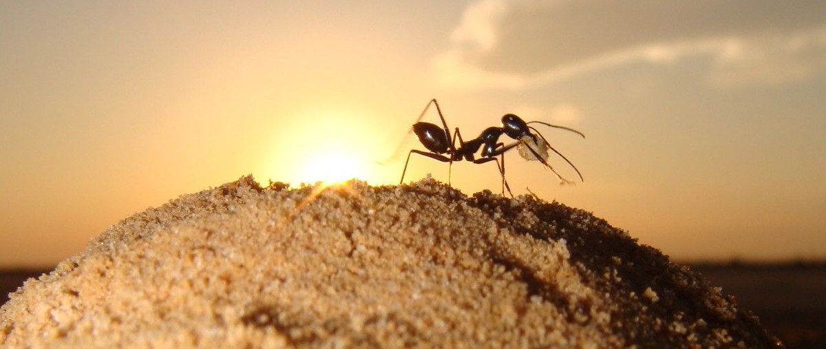 Изображение взято с просторов Интернета