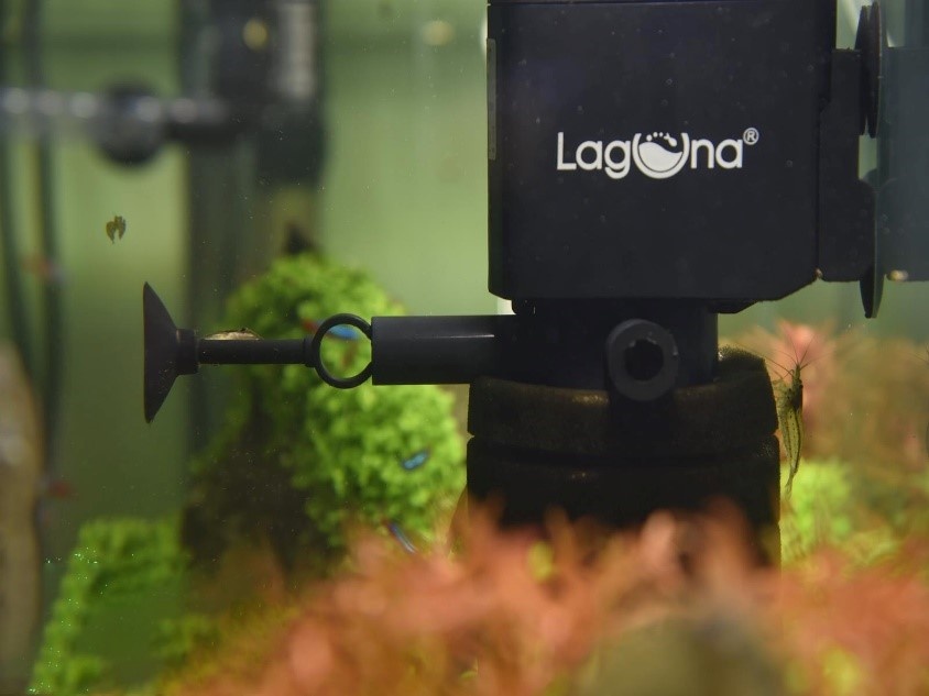 Грамотно подобранное устройство сделает комфортней жизнь подводных обитателей и упростит уход за аквариумом. На фото – аквариумная помпа 2500HP от бренда Laguna AQUA.