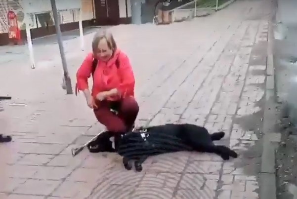 Кадр из видео «Инцидента Новосибирск».