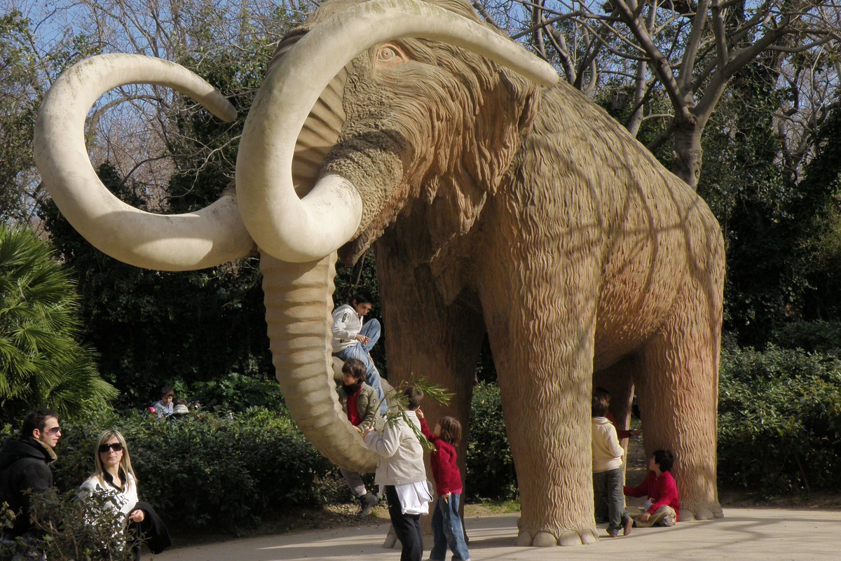     Наиболее сохранившиеся животные ледникового периода