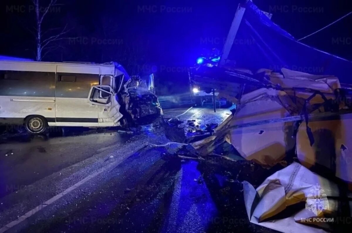    Водитель автобуса госпитализирован после столкновения с фурой на Брянщине
