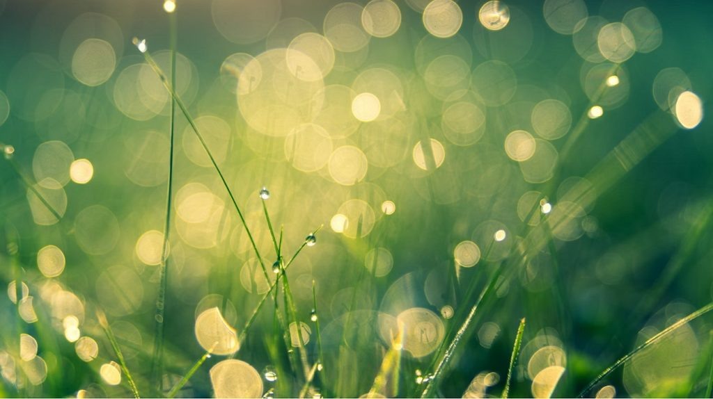     ESG: как не остаться в аутсайдерах. Интервью с авторами книги «Устойчивое развитие» Антон Бахарев