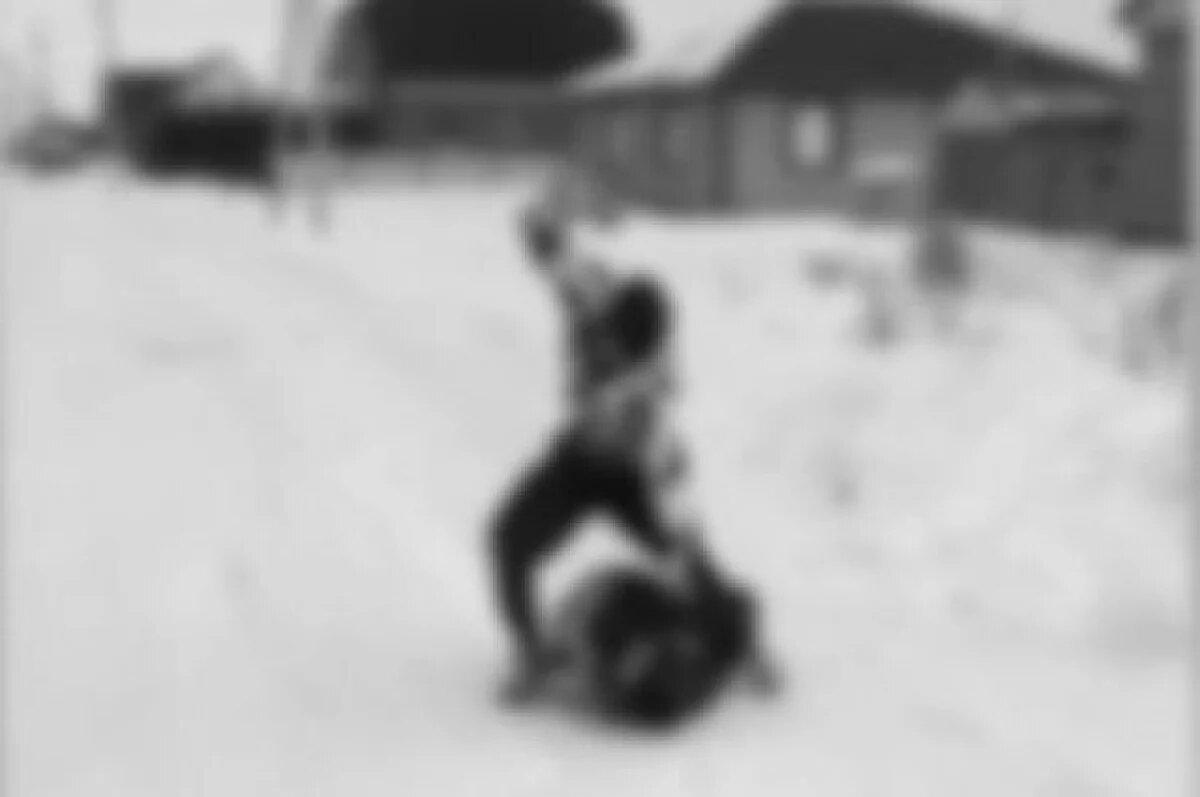    Бастрыкин взял на контроль дело об избиении сироты под Омском