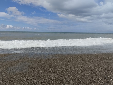 Фотография из личного архива автора