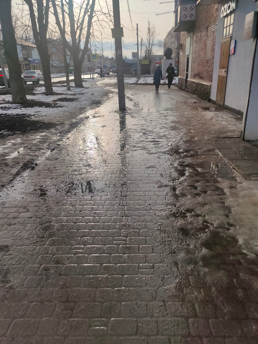 Погода сегодня