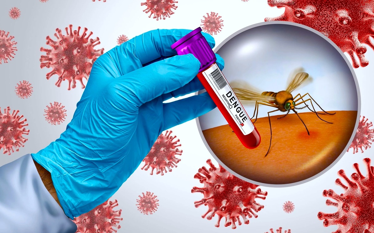 Лихорадка распространена преимущественно в Юго-Восточной Азии. Так ли она страшна, как о ней говорят?