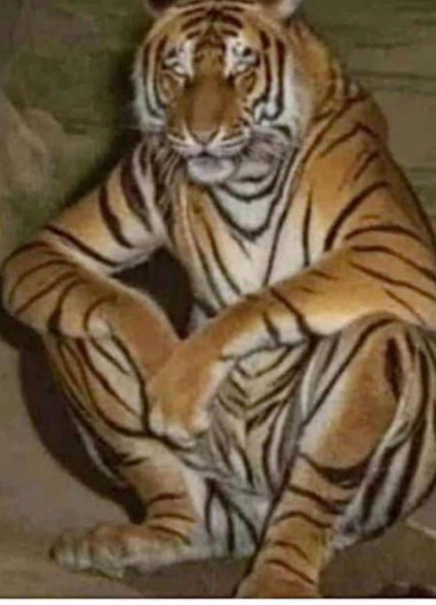 Чо делать то?