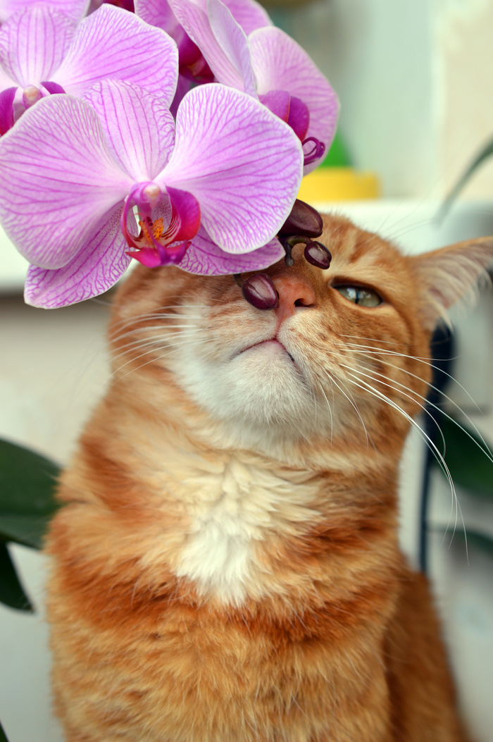 Фото из интернета.