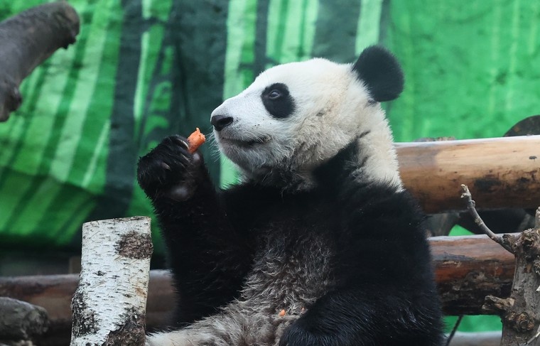    Алексей Белкин/NEWS.ru