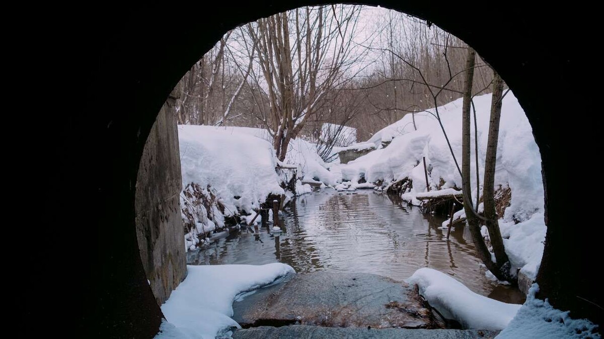 Фото: Елена Бахур