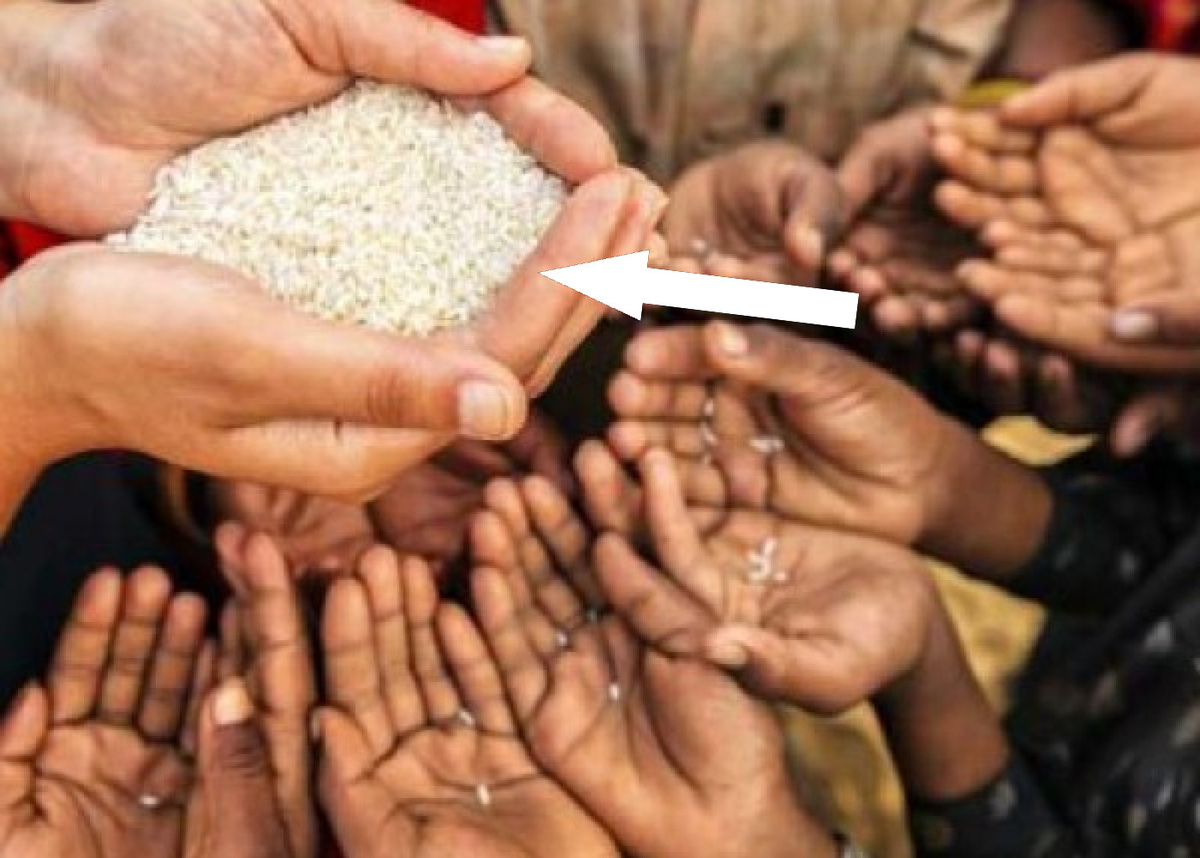    Технологии на страже продовольственной безопасности