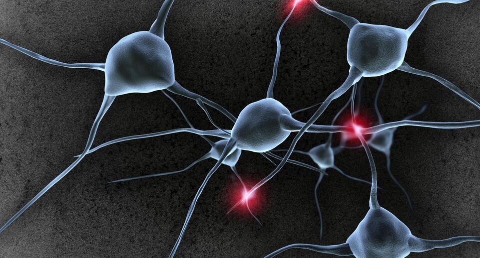    Simone Brandt/imageBROKER.com / www.globallookpress.com