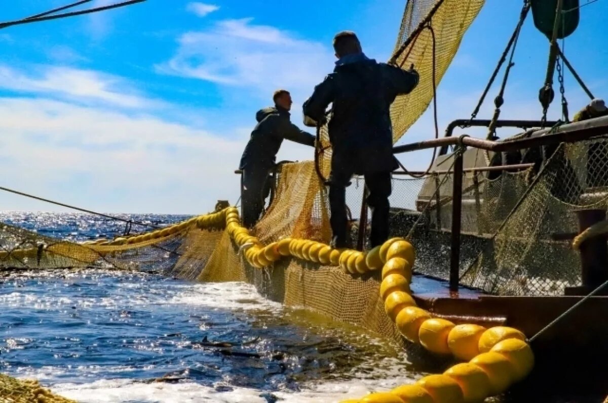    Камчатские рыбаки зарабатывают намного меньше, чем магаданские