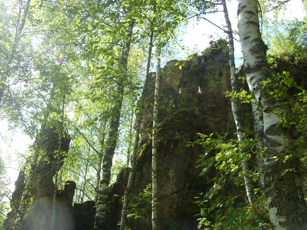 Фото автора 