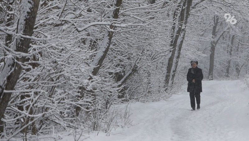      Фото: ИА «Победа26»