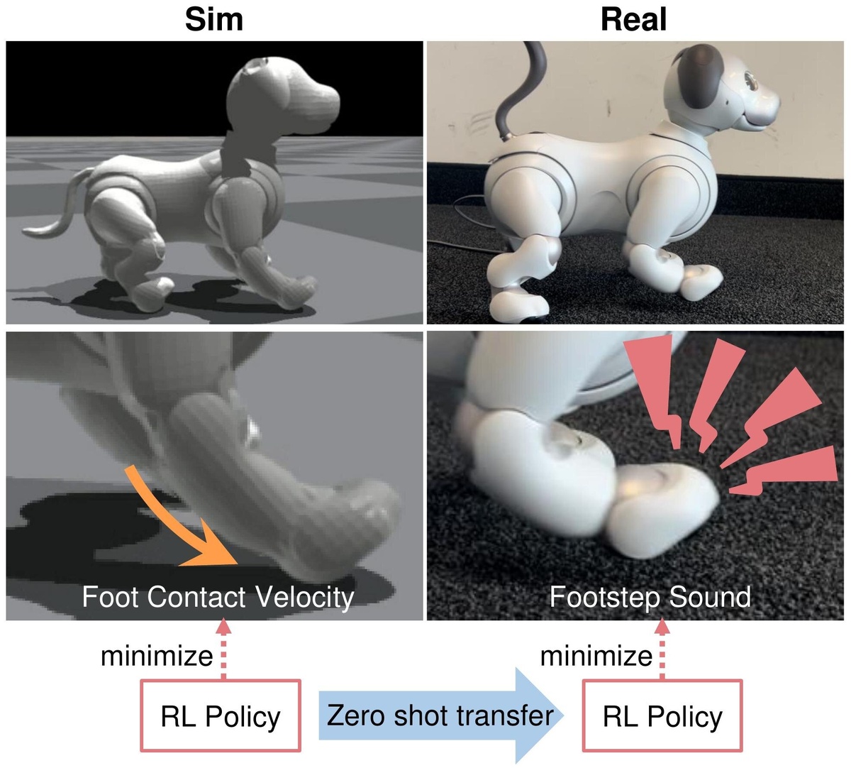 Фото: Watanabe et al.  📷
