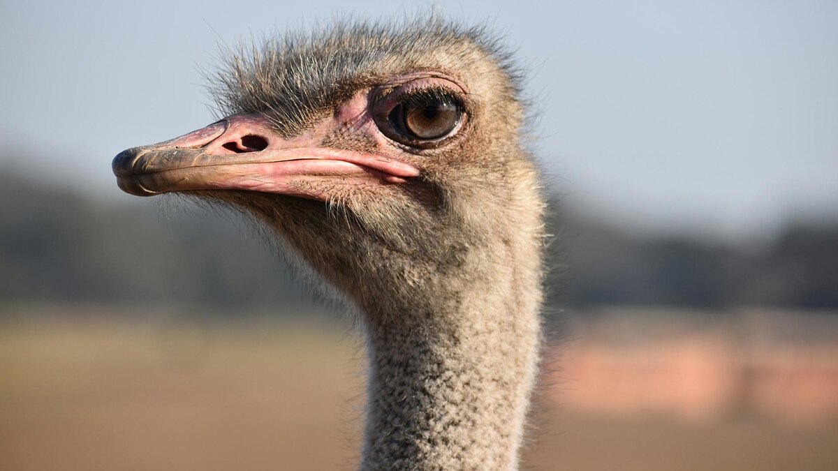    Фото: unsplash.com