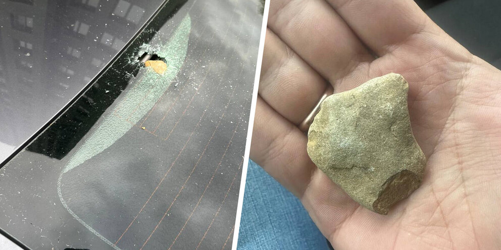 Вороны стали кидаться камнями с крыш, бьют машины. Это объявление войны?