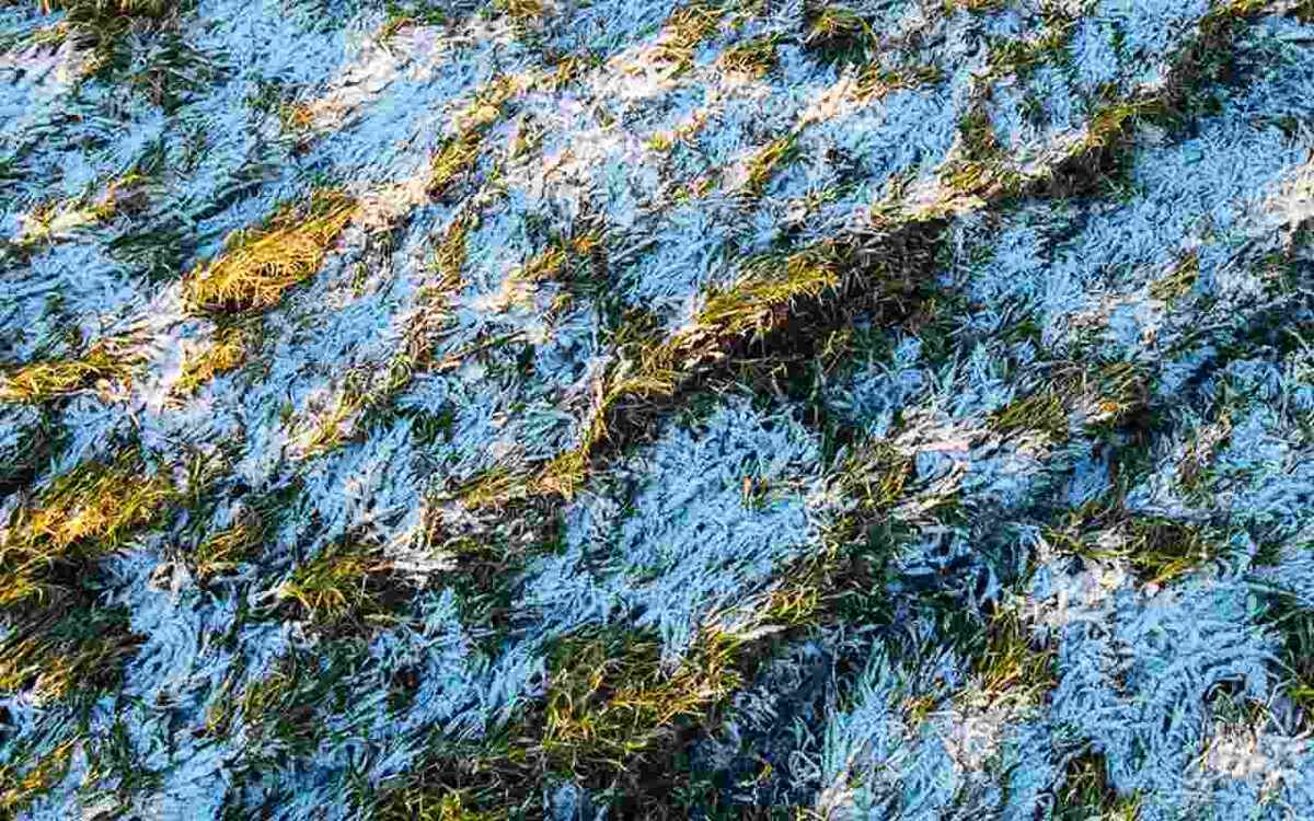    В ГК «Продимекс» идет плановая подготовка к началу полевых работ Фото – ГК «Продимекс»