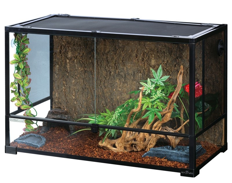 На фото – террариум Repti-Zoo (90 х 45 х 60 см). Стеклянные стенки обеспечивают панорамный обзор для наблюдения за экзотическим питомцем, а распашные дверцы облегчают уход за его жилищем. Сетчатые вставки в крышке и стенках обеспечивают эффективную проточную вентиляцию, которая особенно важна при содержании тропических животных, так как повышенная влажность в их жилище провоцирует появление плесени в замкнутом непроветриваемом пространстве.