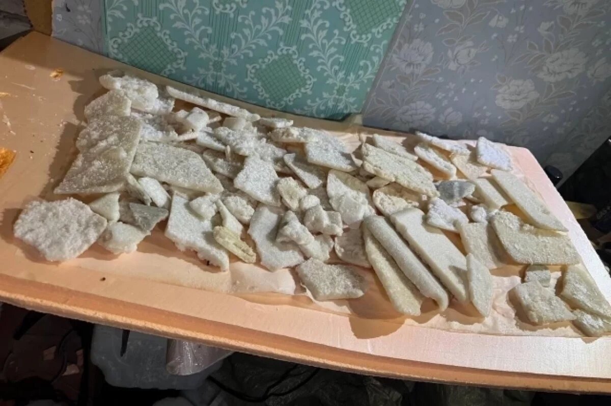    В Рязанской области ликвидировали нарколабораторию студента рязанского ВУЗа