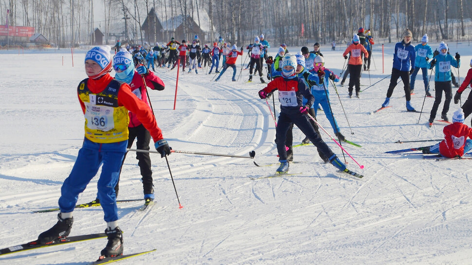 Фото: Министерство спорта Ярославской области