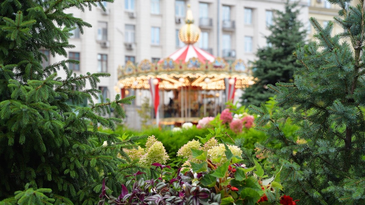    Фото: vm.ru Георгий