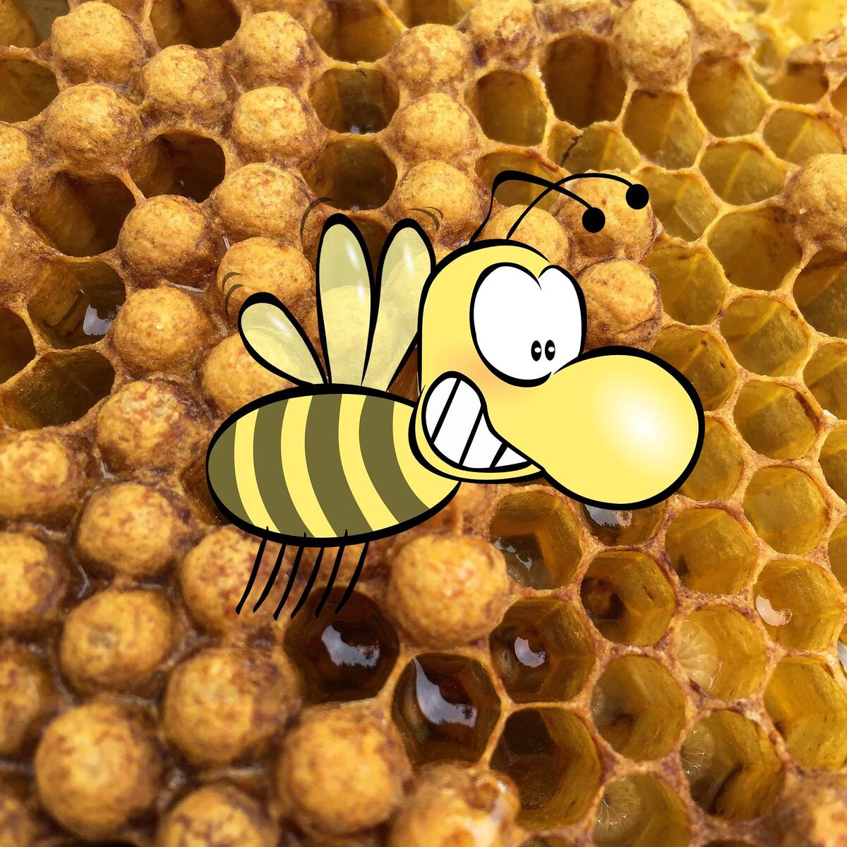 Трутневые свадьбы