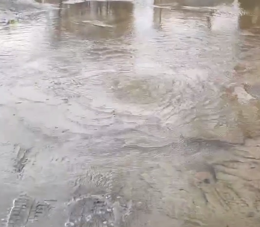     Фото: скриншот