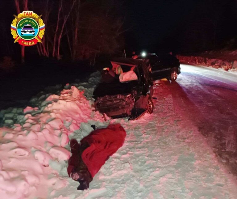    Фото: ДТП 8 января в Свободненском районе / Госавтоинспекция