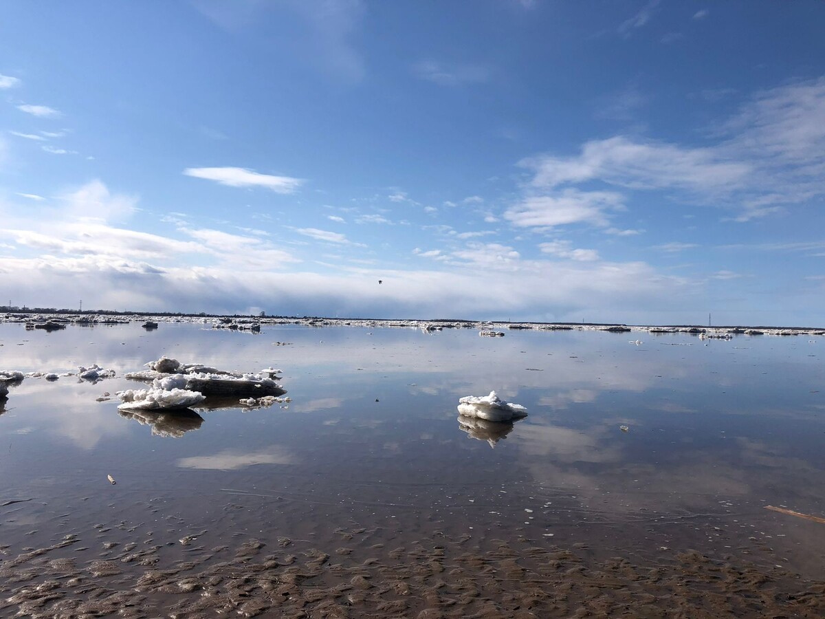 ВЕСЕННИЕ СНЫ, из личных фото автора Лидии Шатиловой