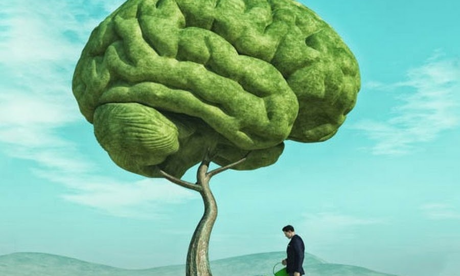 Как восстановить нервную систему