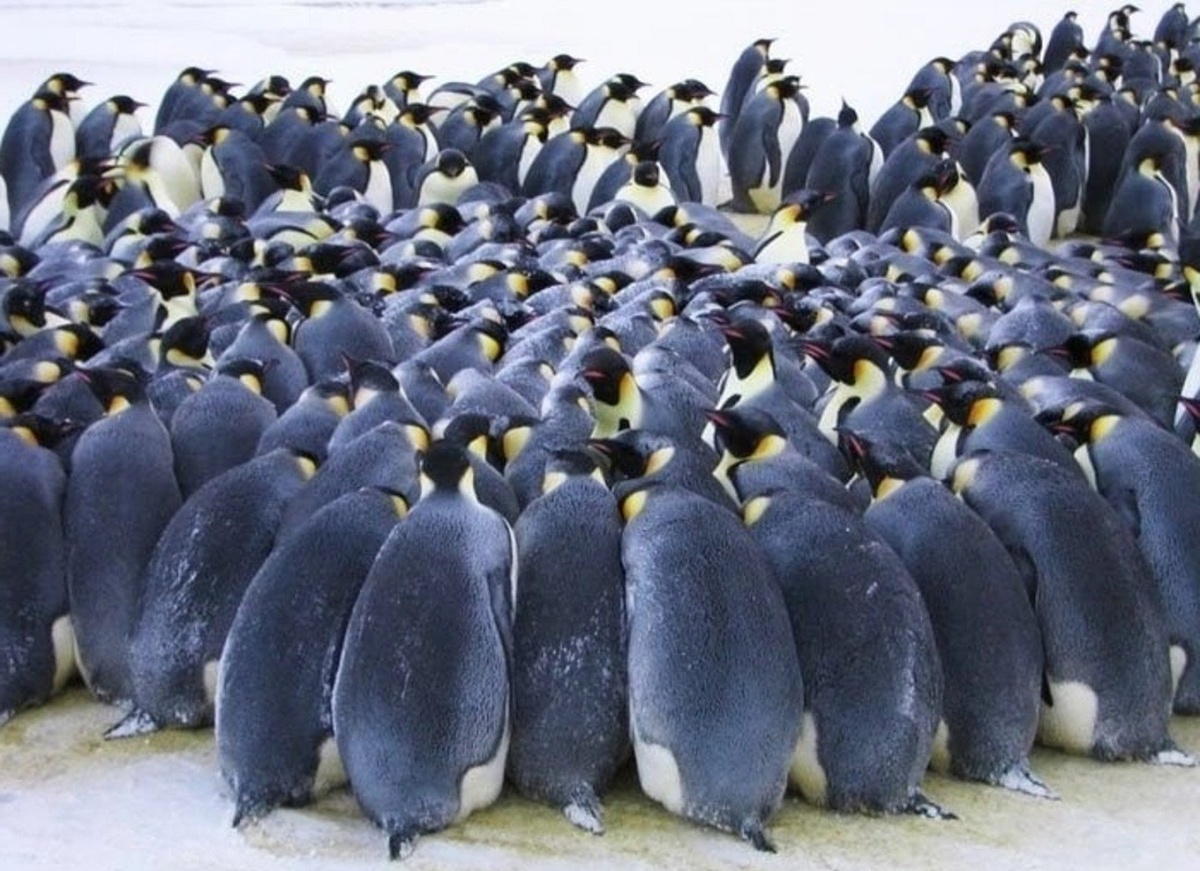 Окружение друзей: тепло и поддержка