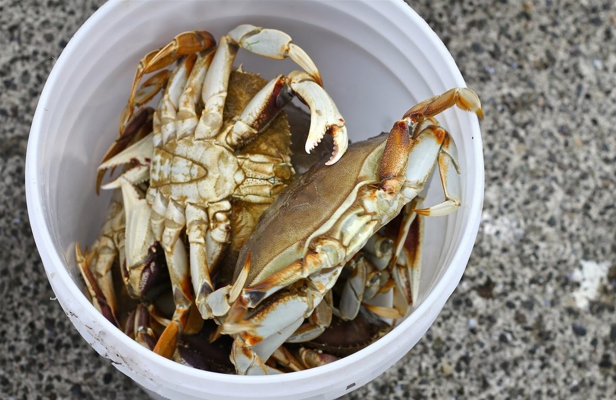 Конкурентное окружение: мы не друзья друг другу