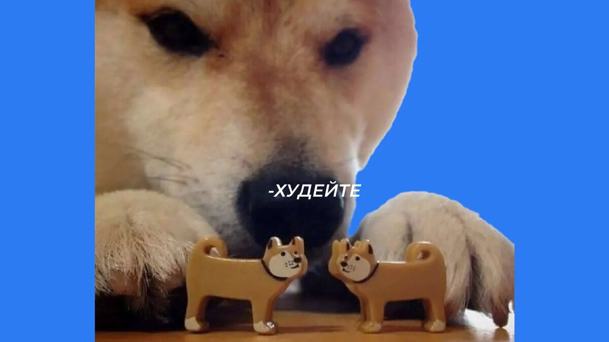 Абьюзивная собака — не повторять