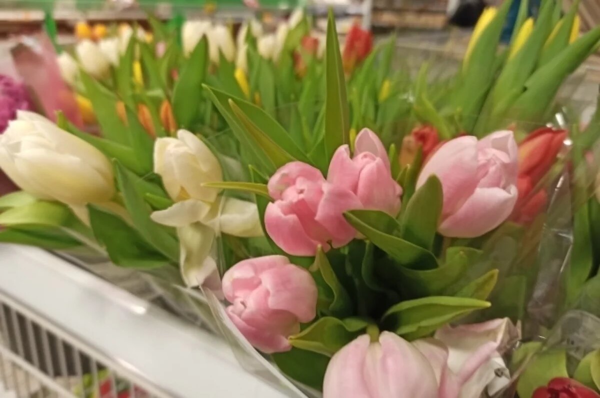    Накануне 8 Марта в Воронежской области потеплеет до +14 градусов