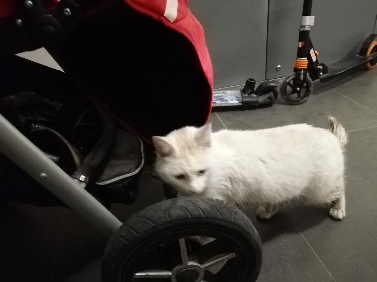 Прям домой такого грязного заберешь?