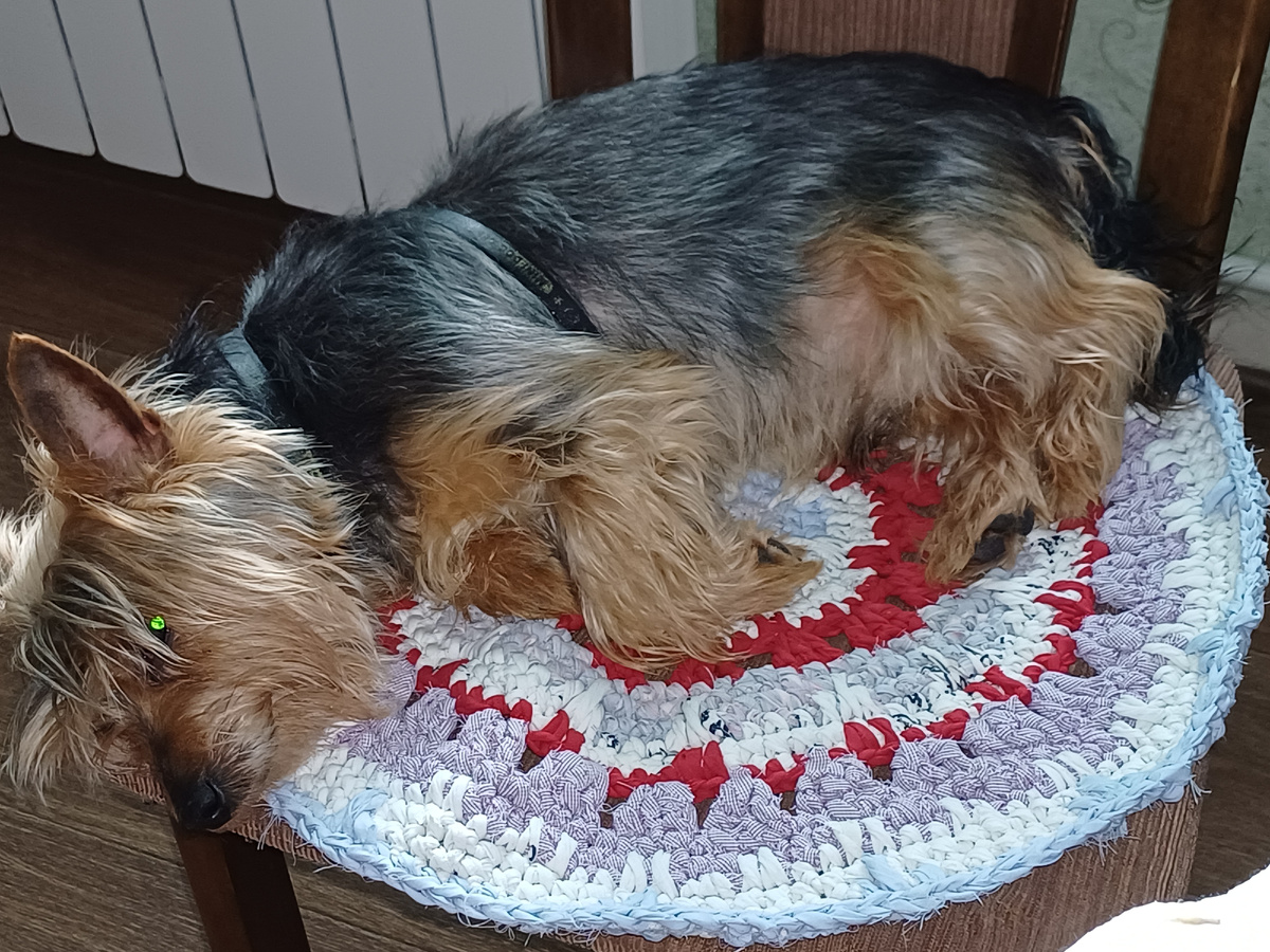 Жорик, он же Жорж, он же Дружок.