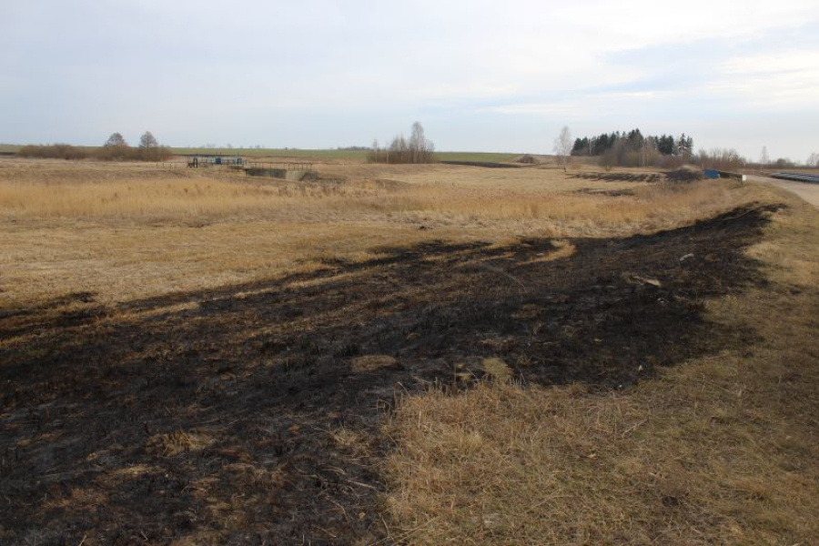     "Жаркий" вечер 5 марта