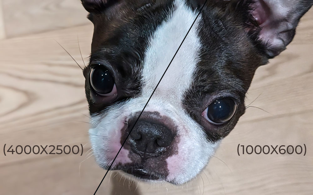 Посмотрите внимательно на картинку, разделенную на части по диагонали. Вы видите две половинки милого песика, которые, на первый взгляд, почти не имеют отличий, несмотря на то, что одна из частей четырехкратно увеличена. Пристальный взгляд заметит, что при увеличении детали оригинальной фотографии были утрачены, текстура местами сглажена. Не тот эффект, которого ждешь от улучшения качества изображений… Но, обо всем по порядку.