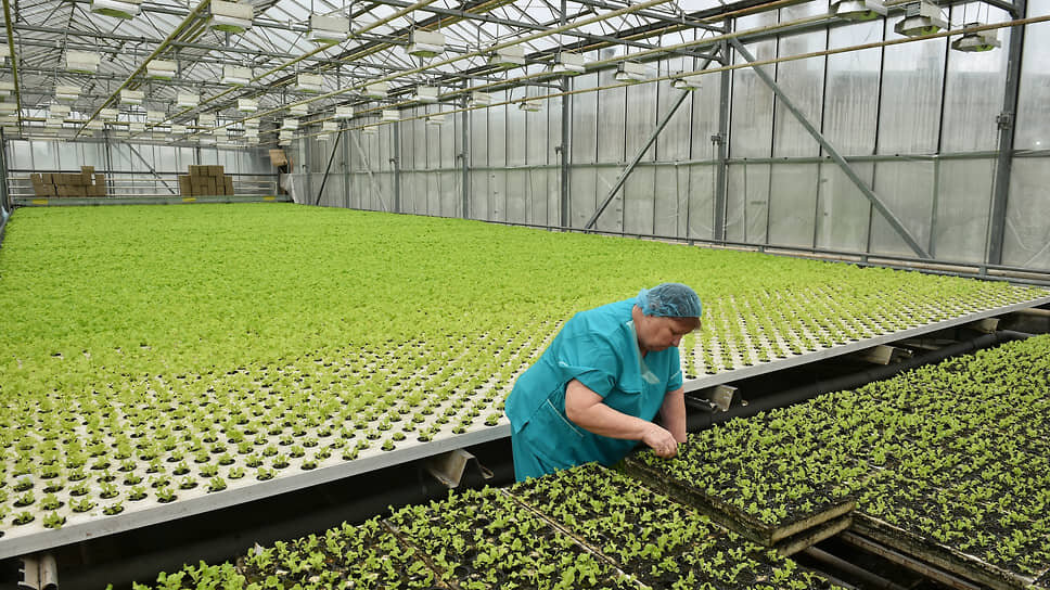 Фото: Влад Некрасов / Коммерсантъ