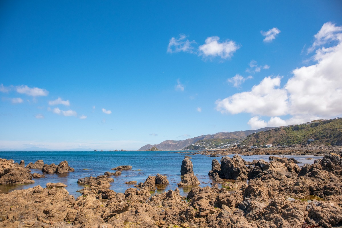 Фото с бесплатного фотостока https://unsplash.com, автор W. D.