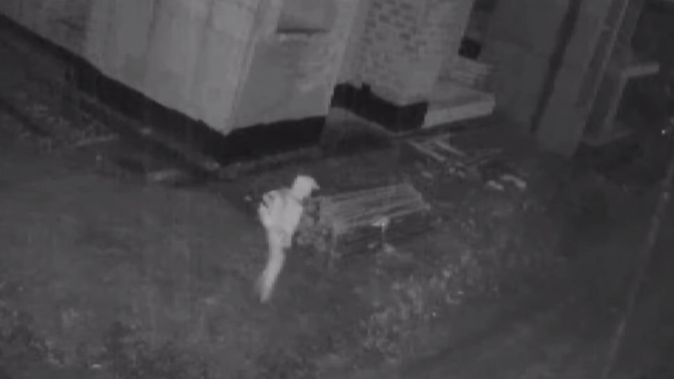 Фото: пресс-служба ГУ МВД России по Краснодарскому краю