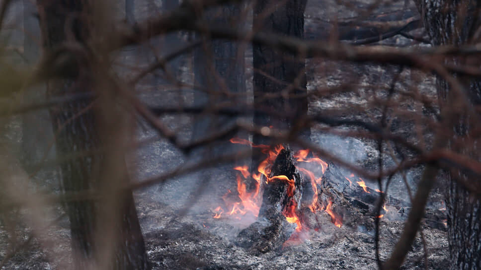 Фото: Марина Молдавская / Коммерсантъ