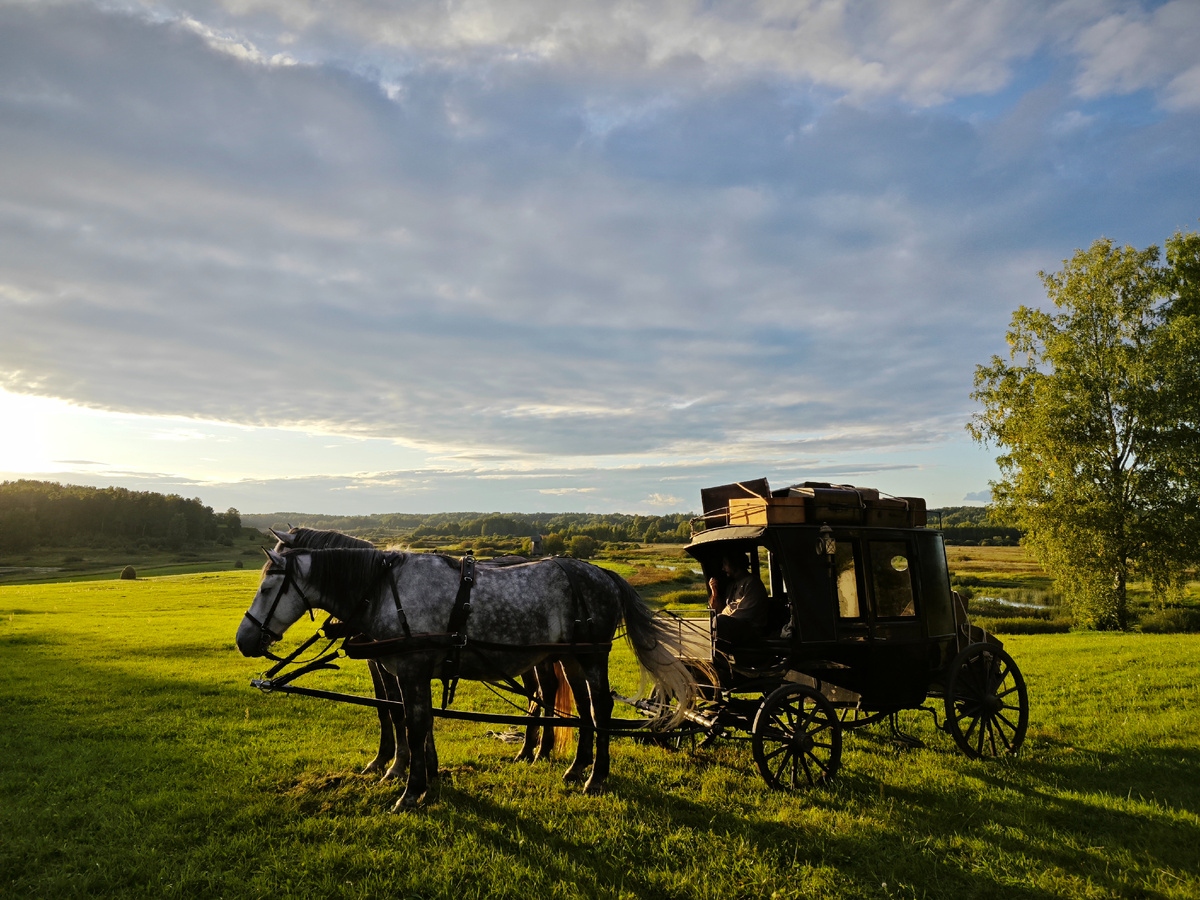 Фоток еды у меня и нет. Но зато есть великолепные виды и лошадки, которые везли главного героя :)
