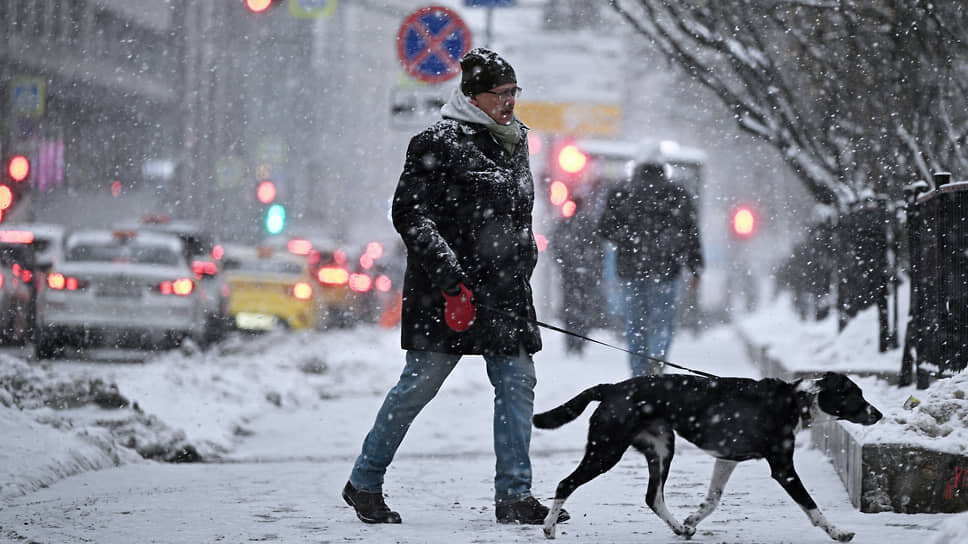 Фото: Евгений Разумный / Коммерсантъ