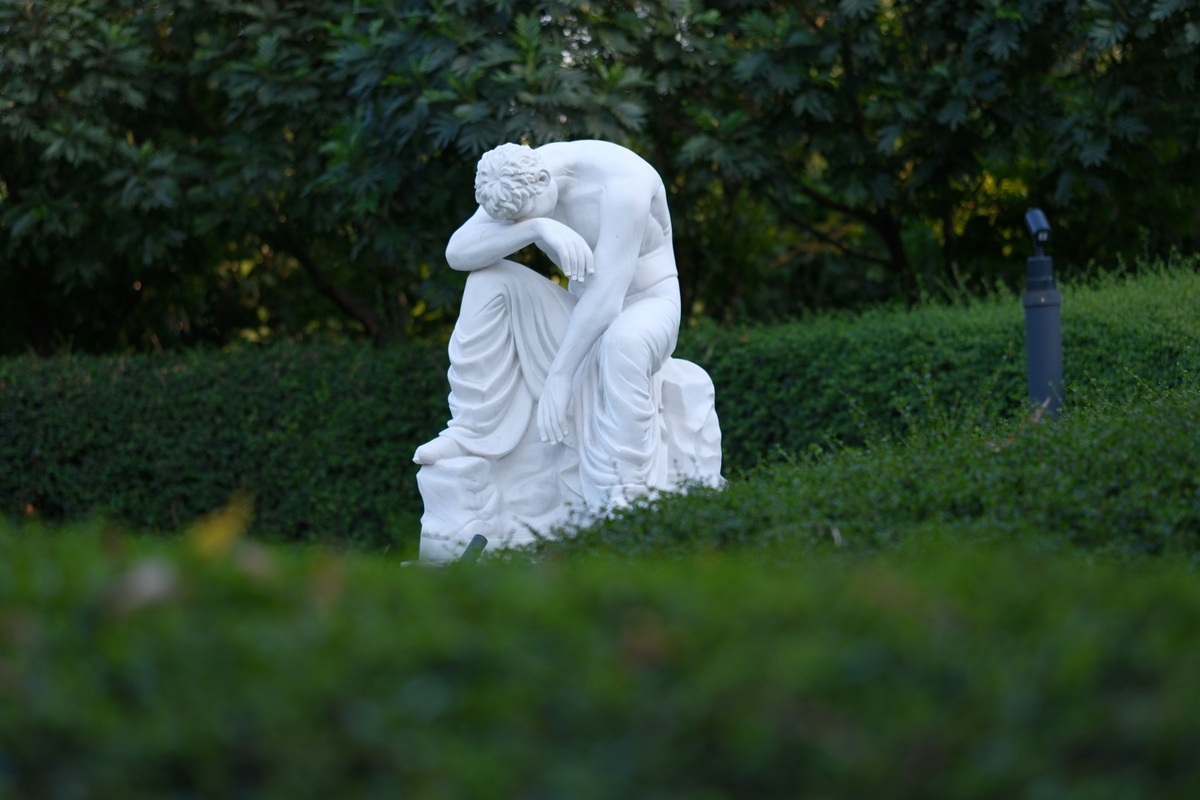 Фото с бесплатного фотостока https://unsplash.com, автор Dmitriy Sarychev