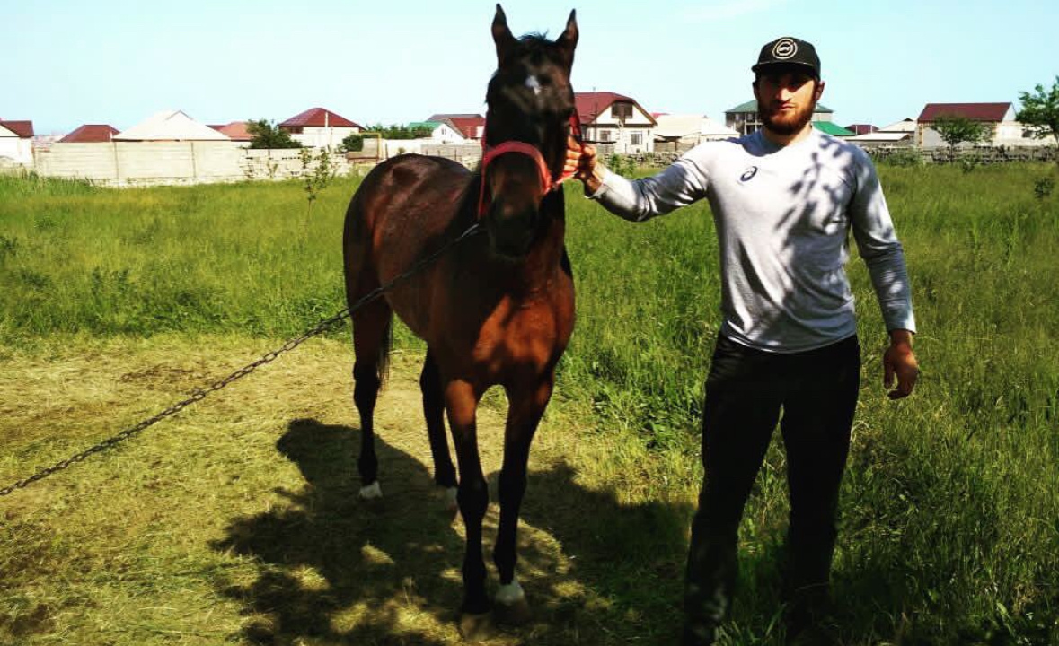     Магомед Анкалаев